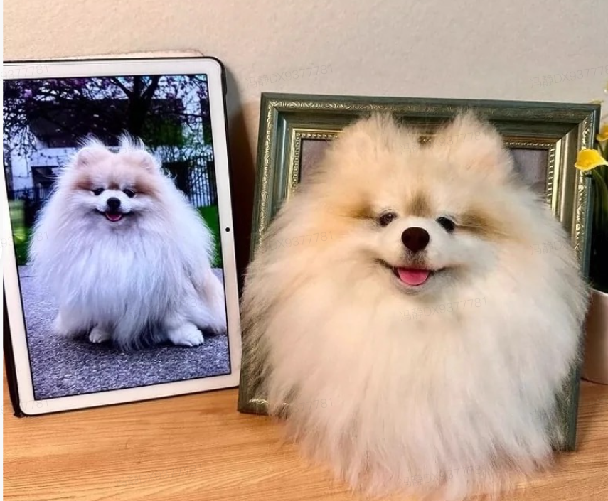 Customized  frame-wool felt handmade frame gift
