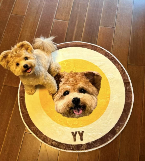 custom made mattress/lovely pet gift/unique/ pet/ mattress
