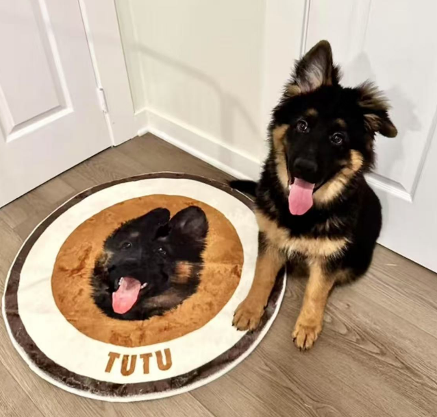 custom made mattress/lovely pet gift/unique/ pet/ mattress
